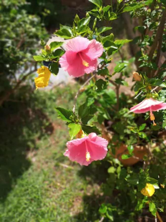Casa Com Spa De Hidro, Aquecedor E Cromoterapia A 1,0 Km Do Centro Chapada dos Guimarães Exteriör bild